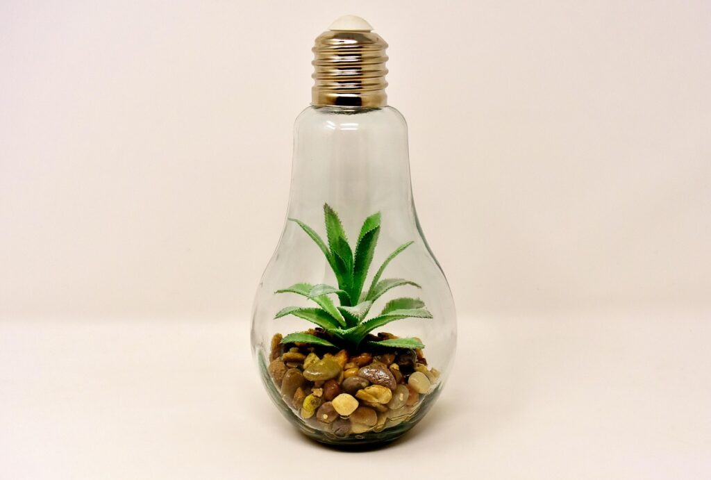 lightbulb, plant, stones, nature, arrangement, lamp, decoration, glass, light
